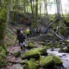 09 b Schluchensteig Etappe 4 - 6